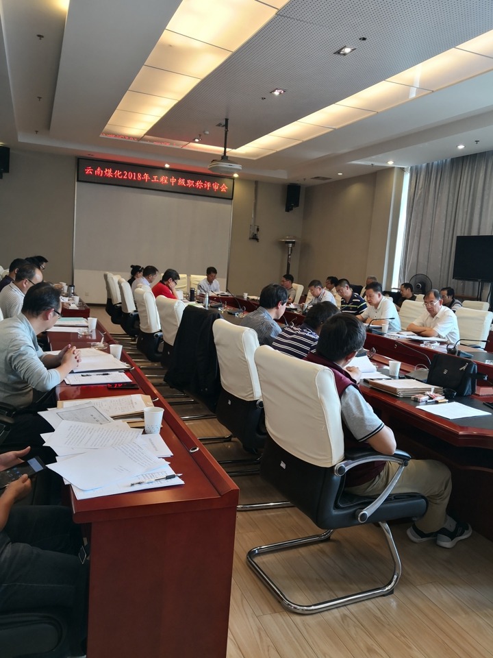 云南Z6人生就是博集团中评委会召开