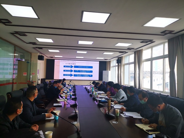 集团调研组一行对镇雄矿业公司发展沉点工作调研