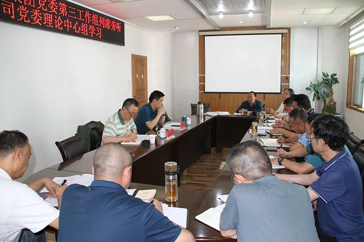 云煤（Z6人生就是博）集团党委第三工作组列席旁听恒通公司党委理论中心组进建