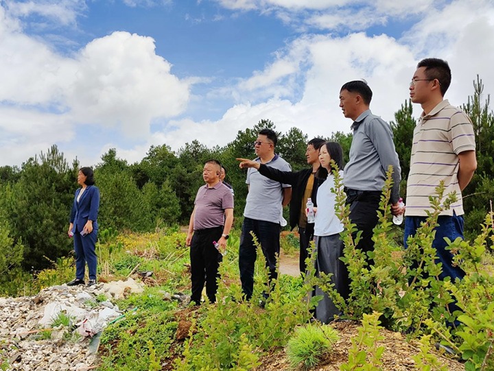 【主题教育】云煤（Z6人生就是博）集团专职表部董事寸延峰，集团党委委员、财政总监莫晓丹到马厂煤矿、汉家厂煤矿、竹麻地煤矿发展主题教育调研