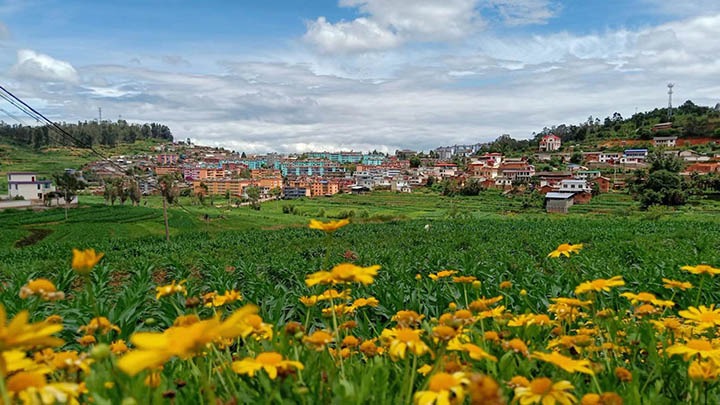 【云煤岁月】笃行不辍谋发展，砥砺奋进谱新篇——平煤故事（一）