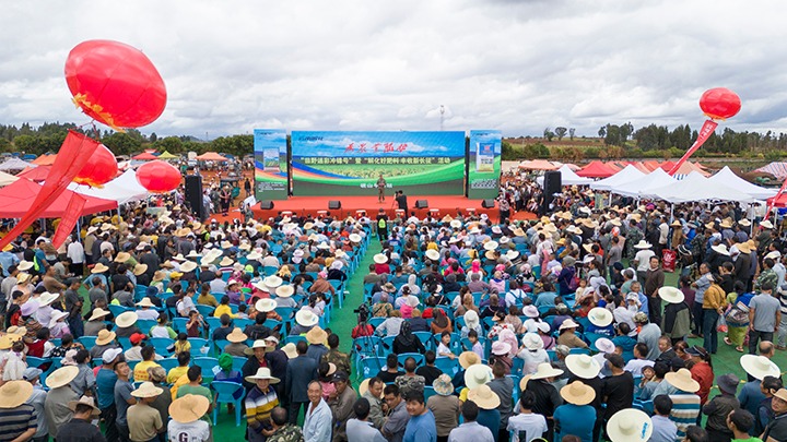 云南解化｜“快递幼哥”的三农情怀，温暖民气促发展