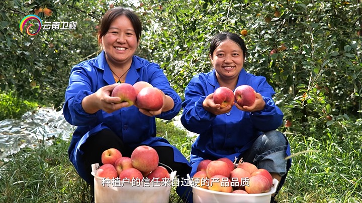 《云南卫视》播报：云煤集团解化好肥助力“三农”发展，共绘村落振兴“幸；怼