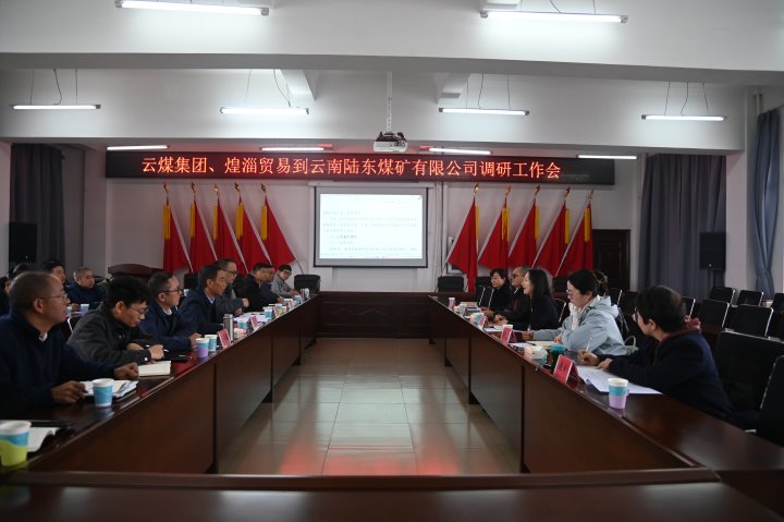 云煤集团党委委员、财政总监莫晓丹一行到陆东煤矿调研领导工作